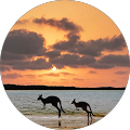 Posture Chiropractic - Cremorne, New South Wales