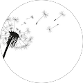 Avatar de karine.