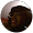 Shelly-Ann Daley