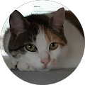 Avatar de Stéphanie.a