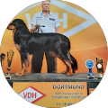 Andreas Schumann - Doberlug-Kirchhain