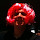 Rob Wultsch's profile photo