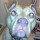 Ethan's profile photo