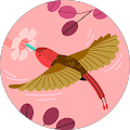 Katarzyna Kalbarczyk