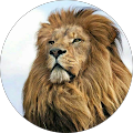 Avatar de discount.e