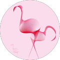 Avatar de Anne.o