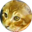 luckycatlucky