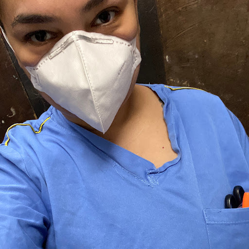 Clinical Vet — foto 4