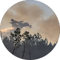 Avatar de outlanderdu30.