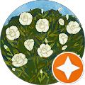 DESATRANQUES SIERRA NEVADA S.L. - 