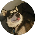 baji san