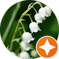 Avatar de SC75SC.