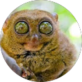 Avatar de Clément.h