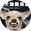 徐慶吉