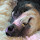 Kara Mason-McCaw's profile photo