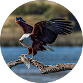 User profile - Hendrik Grobbelaar.
