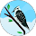 Juan Ajpop profile picture
