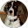ALV UjWemoKTgit2fns2AO2s1Z guSurvyOox7paOu0ixQmUZiglT5Ek=s32 c rp mo br100 service area