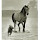 abdo.e...@gmail.com's profile photo