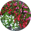 Advanced Data Systems - Paramus, New Jersey