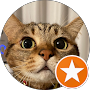 Google Maps Profilbild von 極上の本鮪