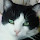 weeble's profile photo