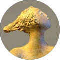 Community member
