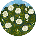 Avatar de christelle.r