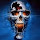 Alvaro Ruiz Ray's profile photo