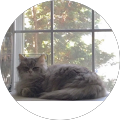 Reviewer Image