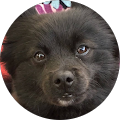 Community member
