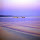 mega...@gmail.com's profile photo