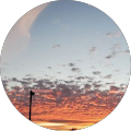 Driven Construction Inc - Exeter, California