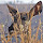 beverle...@gmail.com's profile photo