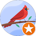 Spark Coworking - St. Louis - St. Louis, Missouri