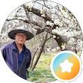 정상기