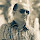 elyes's profile photo