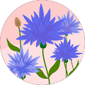Moni Sori