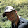 Juan Martinez's profile photo