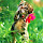 kinosraj kumaran's profile photo