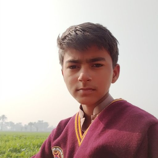 Zain Mehdi