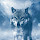 JoVeTri's profile photo
