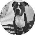 Avatar de André.