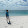 Marcello Fornari's profile photo