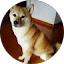 ushironoshoumen