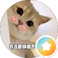 林龍蝦
