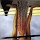 Aapo Rantalainen's profile photo