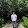 technical...@gmail.com's profile photo