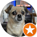 Michael Neitz's profile image