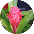 Aguadulgent Massage Centre - Whitfield, Queensland